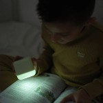 5913877-2.jpg