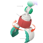 842357f53585aa082a606943387cd13a.png